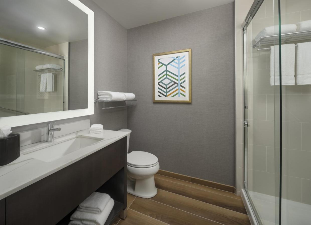 Studio Kitchen Suite | King Bed Plus Sofa Bed