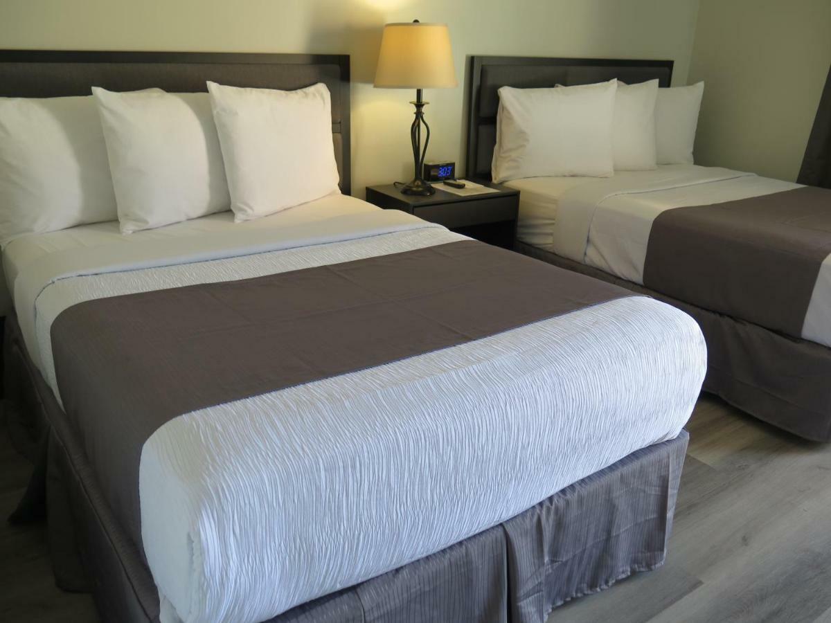 Deluxe 2 Double Beds - Non-Smoking