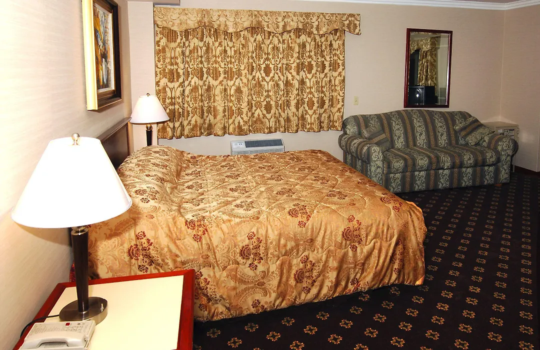 Metro Plaza Hotel-1