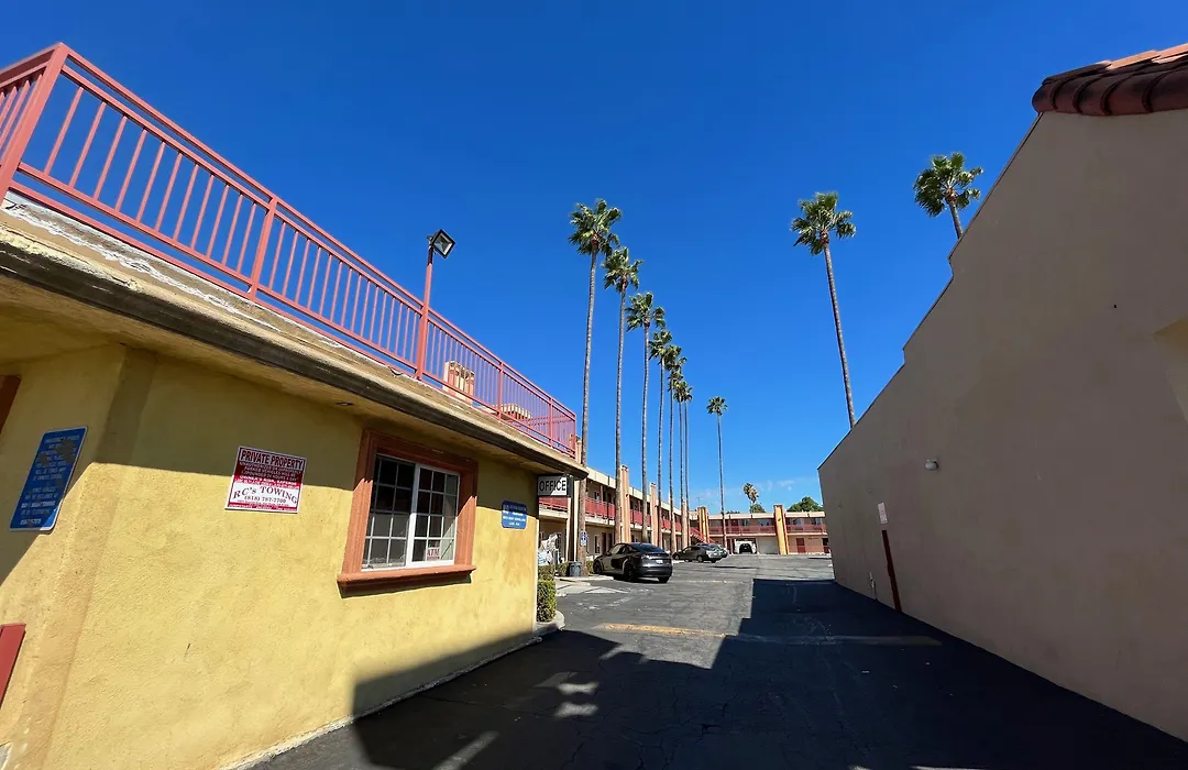 Palm Tree Inn-1