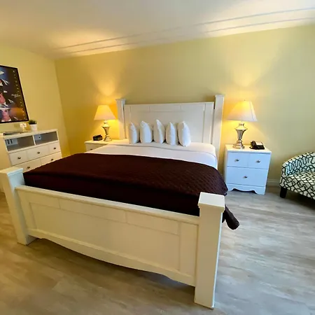 Hollywood Celebrity Hotel-2