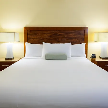 Airtel Plaza Hotel-2