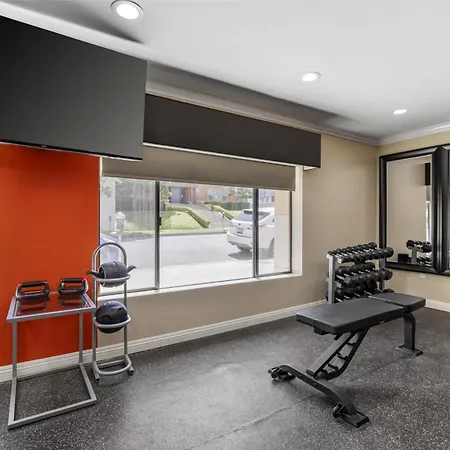 Best Western Plus LA Mid-Town Hotel-3