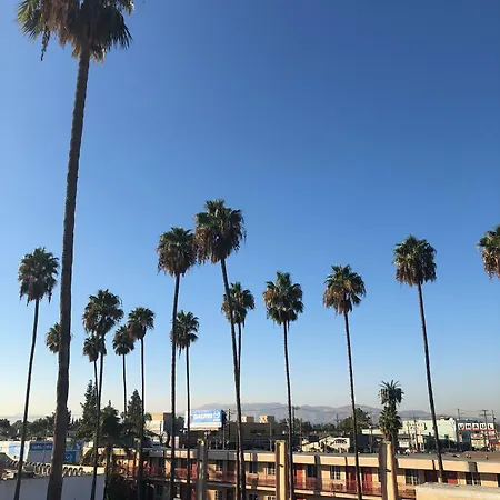 Palm Tree Inn-3